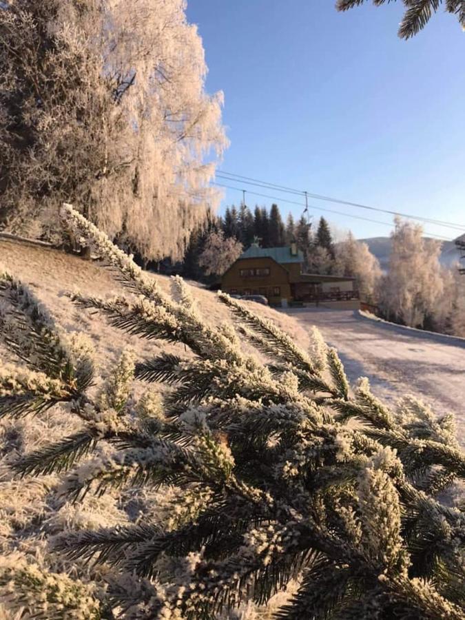 Penzion Alenka Špindlerŭv Mlýn Eksteriør bilde